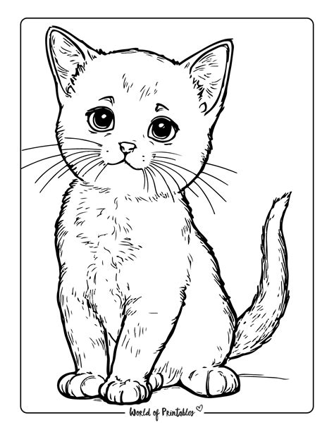 Realistic Cat Coloring Page