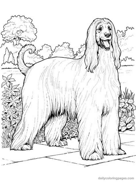 Realistic Dog Coloring Pages for Printing Fun