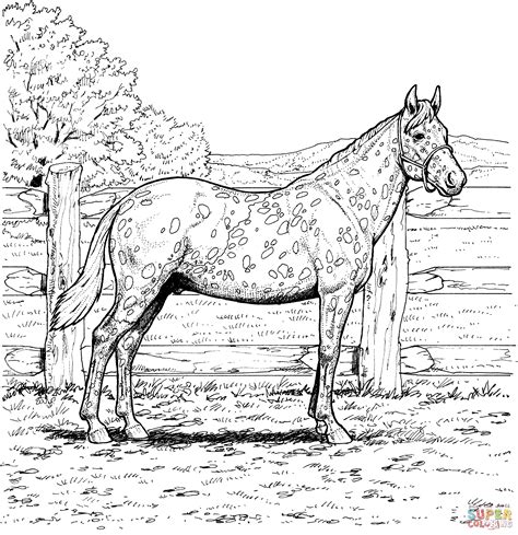 Realistic Horse Coloring Pages