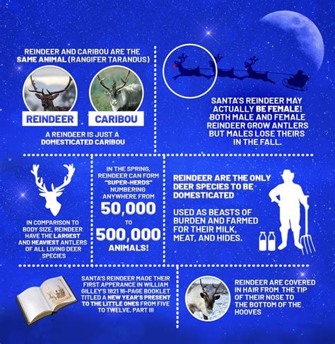 Reindeer Facts