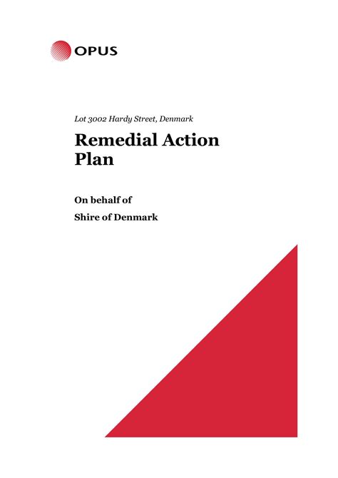 Remediation Action Examples