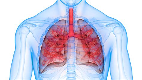 Respiratory Health