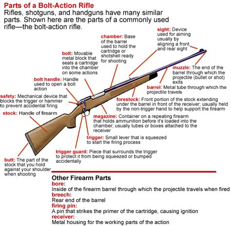 Rifle Long Gun Terminology