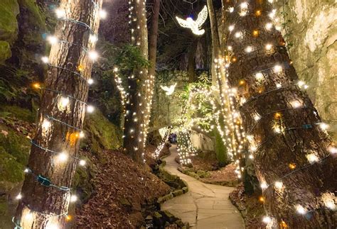 Rock City Christmas Lights Tree