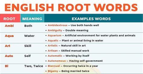 Root Words