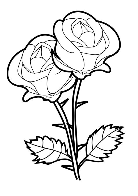 Rose coloring pages printable