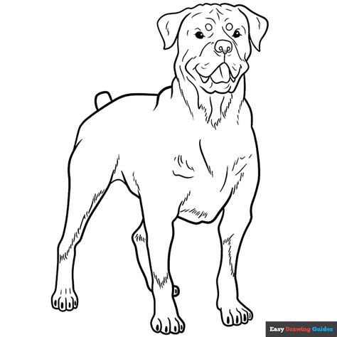 Rottweiler Coloring Page