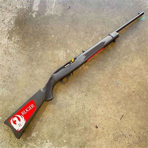 Ruger 10/22 Concealment