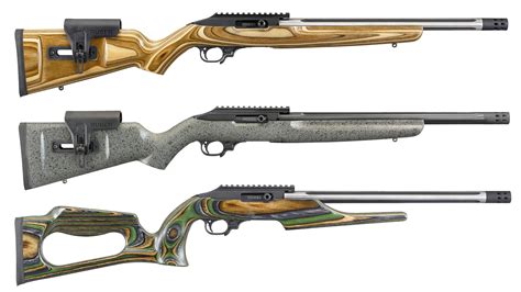 Ruger 10/22 Customization Options