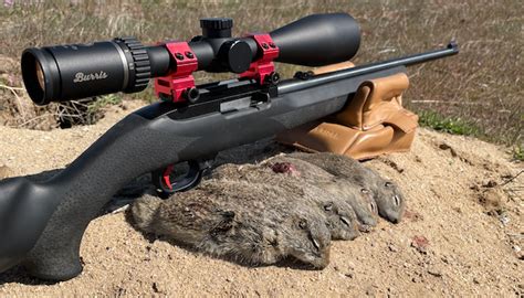 Ruger 10/22 Hunting Applications