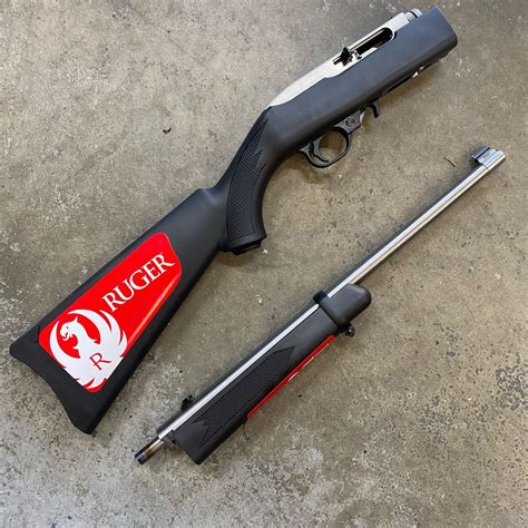 Ruger 10/22 Range