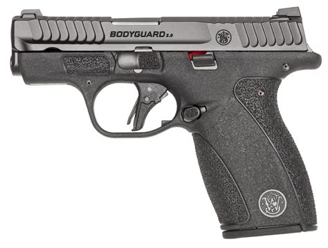 S&W 380 Bodyguard Image 10