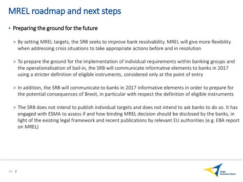 Description of SRB Next Steps