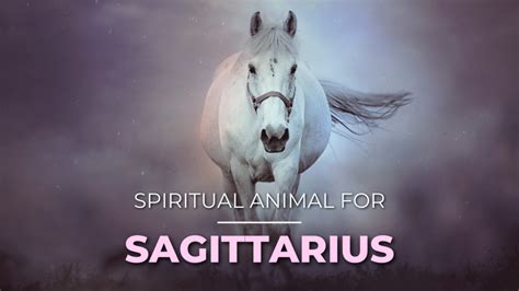 Sagittarius Spirit Animal Image 2