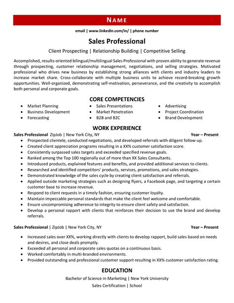 Sales Professional Resume