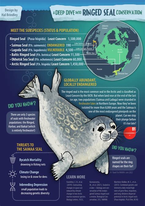 Seal conservation efforts