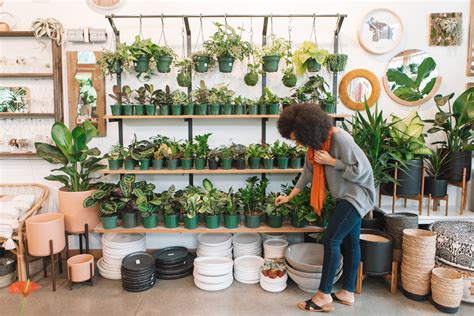 Seed and Plant Shopping with Food Stamps