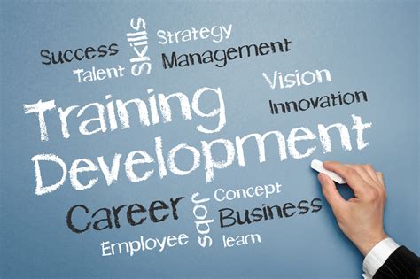 Seek Out Training and Development Opportunities