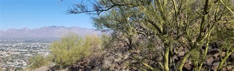 Sentinel Peak Mission Views