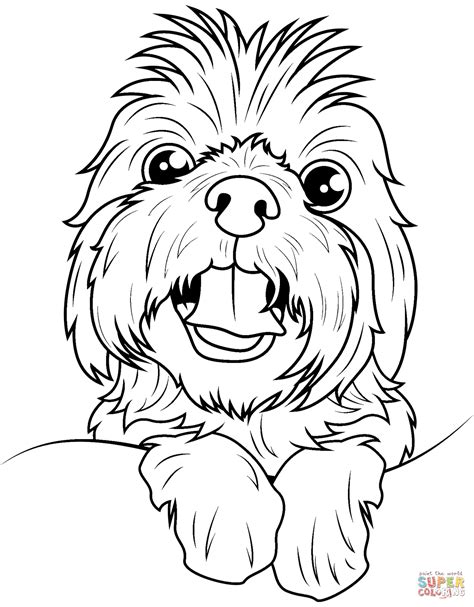 Shih Tzu Coloring Page