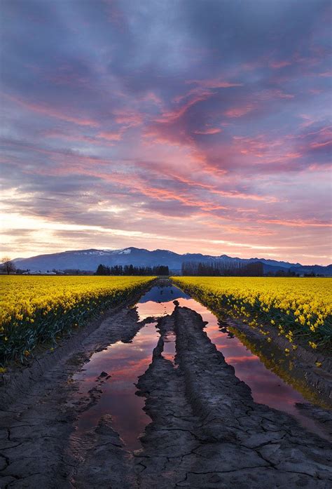 Description of Skagit Valley Landscape