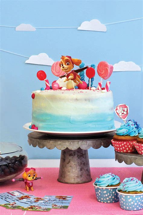 Paw Patrol Skye Party Decorations