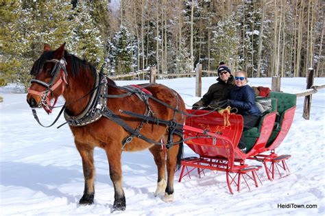 Sleigh Ride Through the Snow