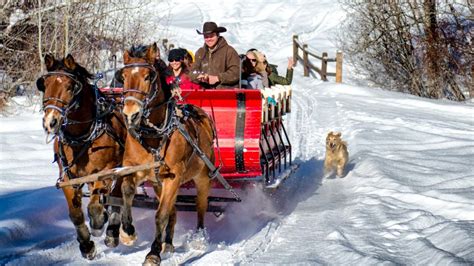 Sleigh Rides