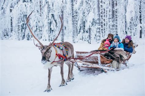 Horse-drawn sleigh rides through a snowy farm