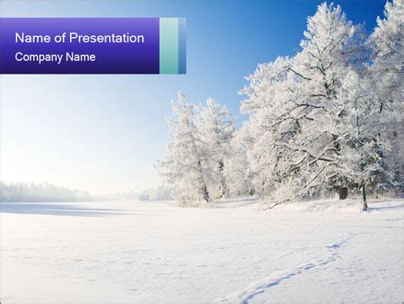 Snowy Night PowerPoint Template