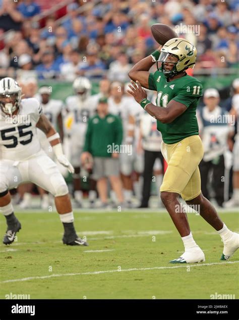 South Florida Bulls quarterback photo