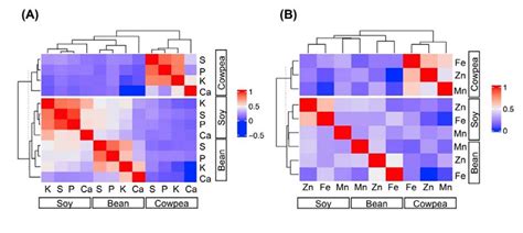 Spearman Correlation Macro