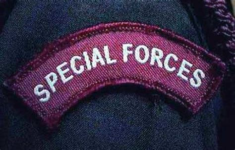 Special Forces Badge