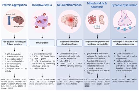 Sprunki 56 Neuroprotective Effects