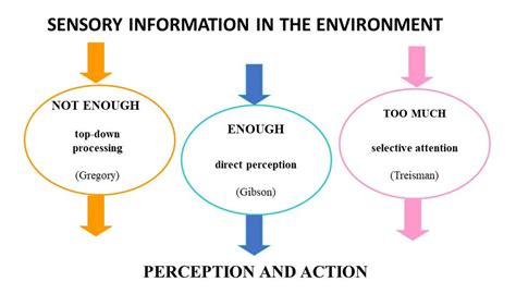 Cognitive Psychology and Sound Perception with Sprunkis 5th Voice