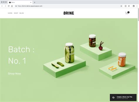 Squarespace Brine Template Example 1
