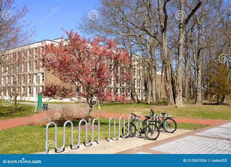 Stony Brook University Psychology Department