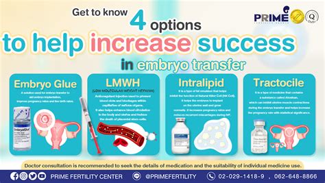 Strategies to Optimize IVF Transfer Outcomes