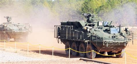 Stryker Brigade Combat Team in action