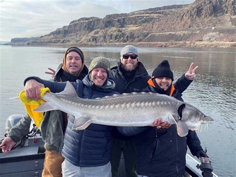 Sturgeon fishing regulations