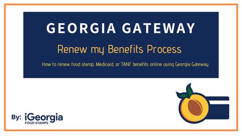 Summer Food Stamps Renewal Process in Georgia