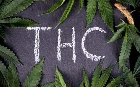 THC Detoxification Myths