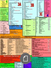 TNCC Cheat Sheet Printable Quick Guide