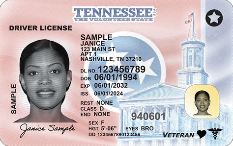 Components of Tennessee Driver's License