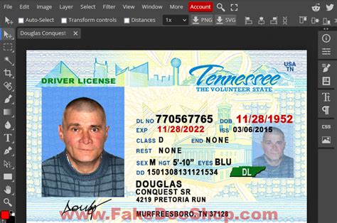 Tennessee Driver's License Sample