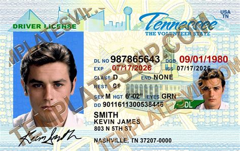 Tennessee Driver's License Template Download