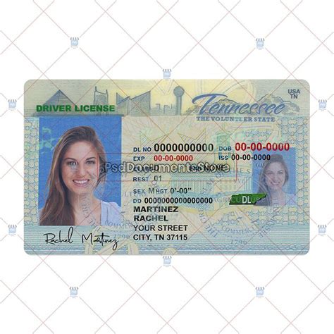 Tennessee drivers license template customization