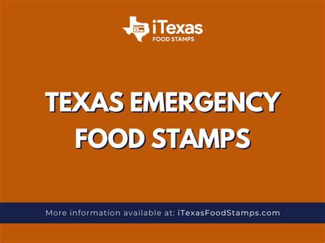 Texas Emergency Food Stamps Application Form