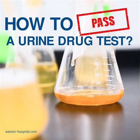 Tips for Passing a Drug Test