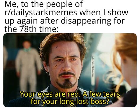 Tony Stark Meme Template 6